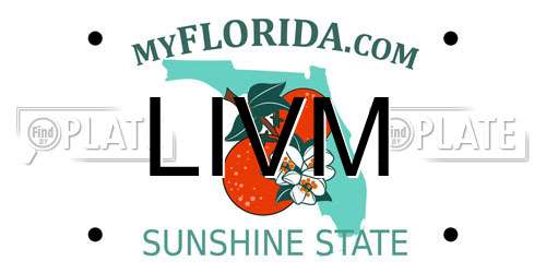 LIVM Florida License Plate