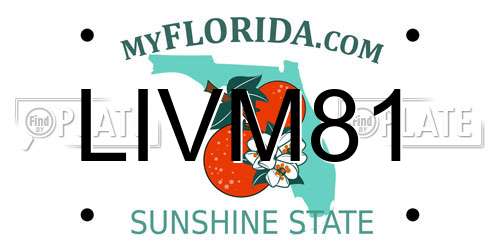 LIVM81 Florida License Plate