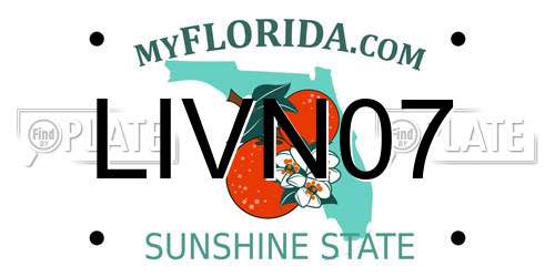 LIVN07 Florida License Plate