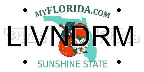 LIVNDRM Florida License Plate