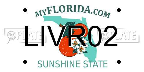 LIVR02 Florida License Plate