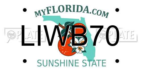 LIWB70 Florida License Plate