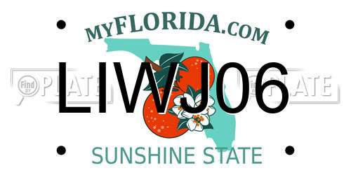 LIWJ06 Florida License Plate