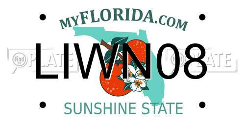 LIWN08 Florida License Plate
