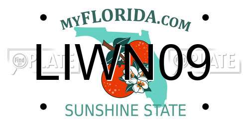 LIWN09 Florida License Plate
