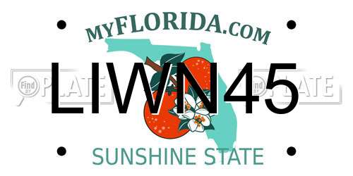 LIWN45 Florida License Plate