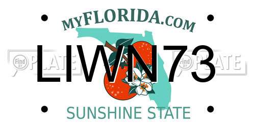 LIWN73 Florida License Plate