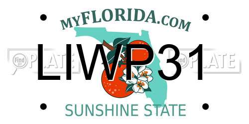 LIWP31 Florida License Plate