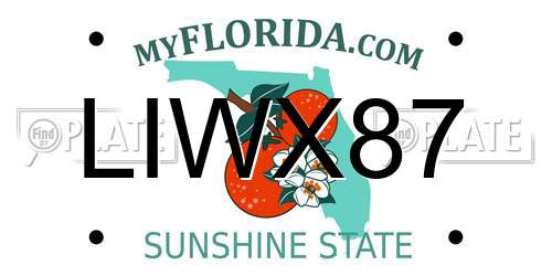 LIWX87 Florida License Plate