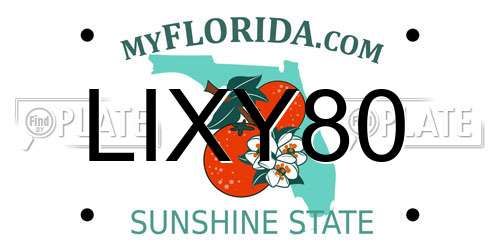 LIXY80 Florida License Plate