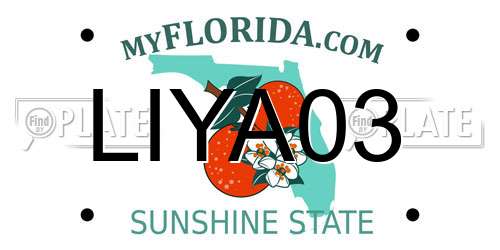 LIYA03 Florida License Plate