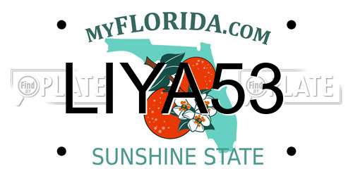 LIYA53 Florida License Plate