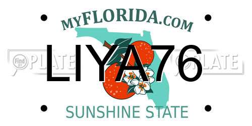 LIYA76 Florida License Plate