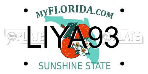 LIYA93 Florida License Plate