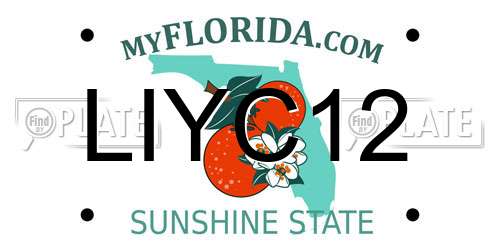 LIYC12 Florida License Plate