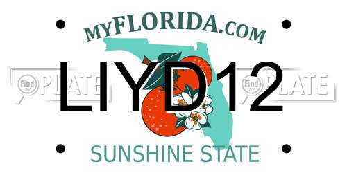 LIYD12 Florida License Plate