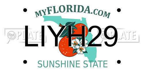 LIYH29 Florida License Plate