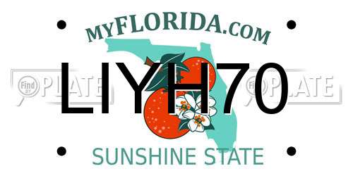 LIYH70 Florida License Plate