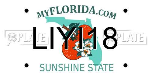 LIYI18 Florida License Plate