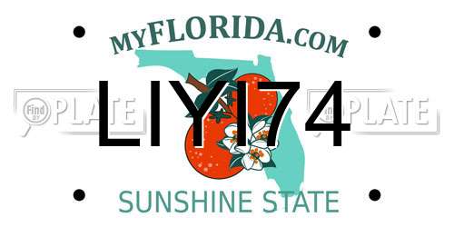 LIYI74 Florida License Plate