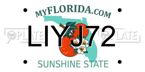 LIYJ72 Florida License Plate