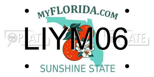 LIYM06 Florida License Plate