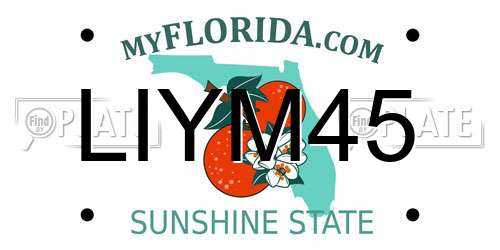 LIYM45 Florida License Plate