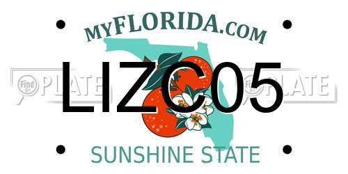 LIZC05 Florida License Plate