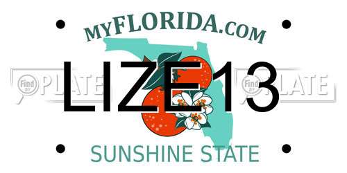 LIZE13 Florida License Plate