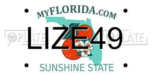 LIZE49 Florida License Plate