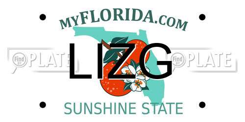 LIZG Florida License Plate
