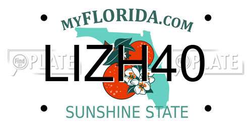 LIZH40 Florida License Plate