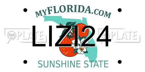 LIZI24 Florida License Plate