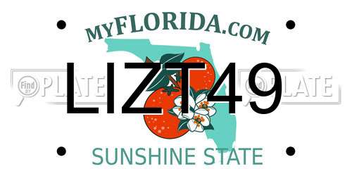 LIZT49 Florida License Plate