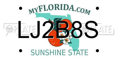 LJ2B8S Florida License Plate