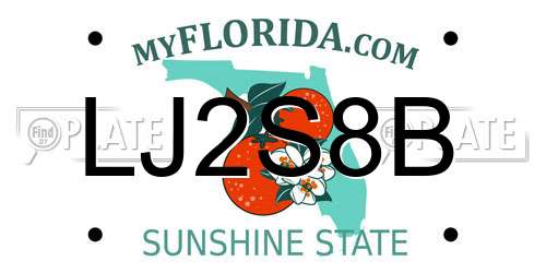 LJ2S8B Florida License Plate