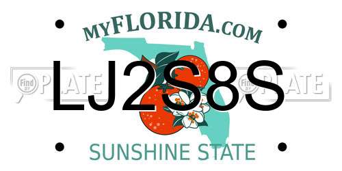 LJ2S8S Florida License Plate