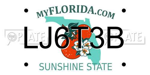 LJ6T3B Florida License Plate
