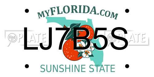 LJ7B5S Florida License Plate