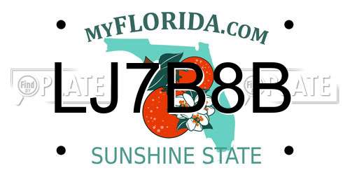 LJ7B8B Florida License Plate