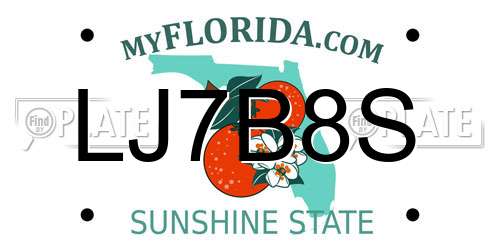 LJ7B8S Florida License Plate