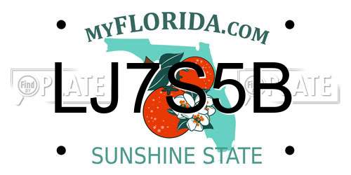 LJ7S5B Florida License Plate