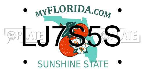LJ7S5S Florida License Plate