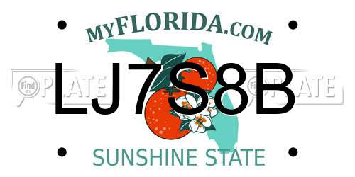 LJ7S8B Florida License Plate