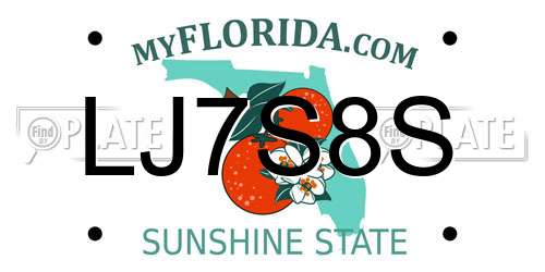 LJ7S8S Florida License Plate