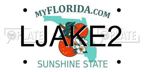 LJAKE2 Florida License Plate