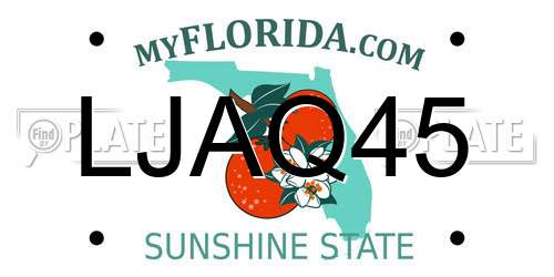 LJAQ45 Florida License Plate