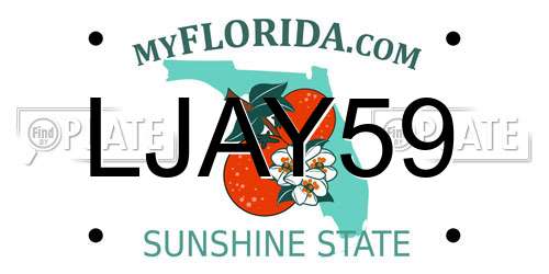 LJAY59 Florida License Plate