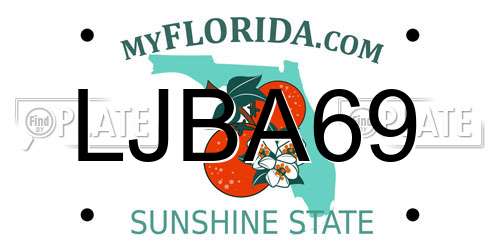 LJBA69 Florida License Plate