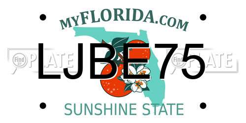 LJBE75 Florida License Plate
